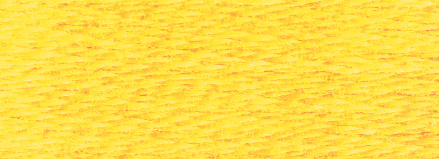 Six-Strand Embroidery Floss (718-919)