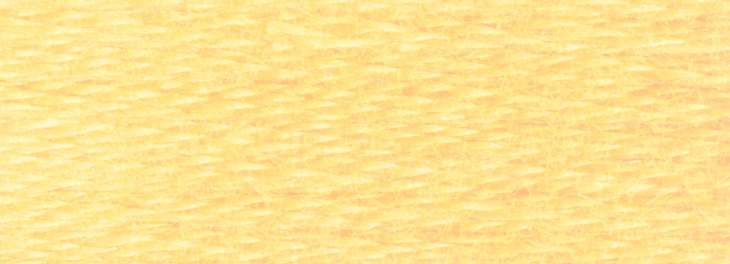 Six-Strand Embroidery Floss (718-919)