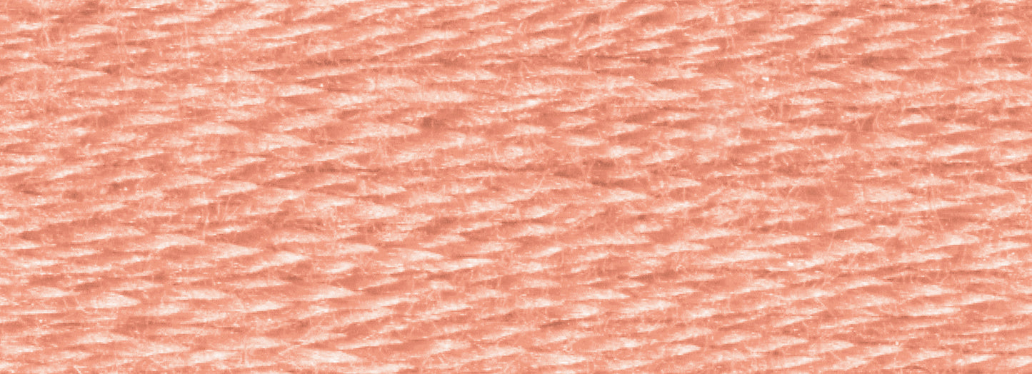 Six-Strand Embroidery Floss (718-919)