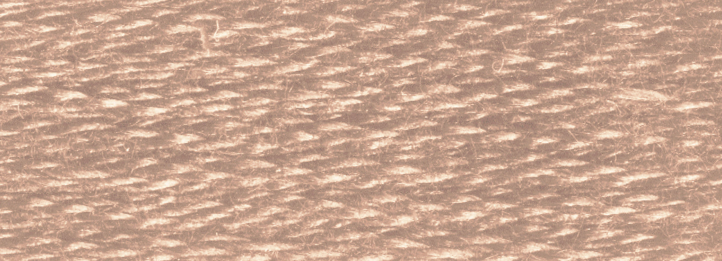 Six-Strand Embroidery Floss (718-919)