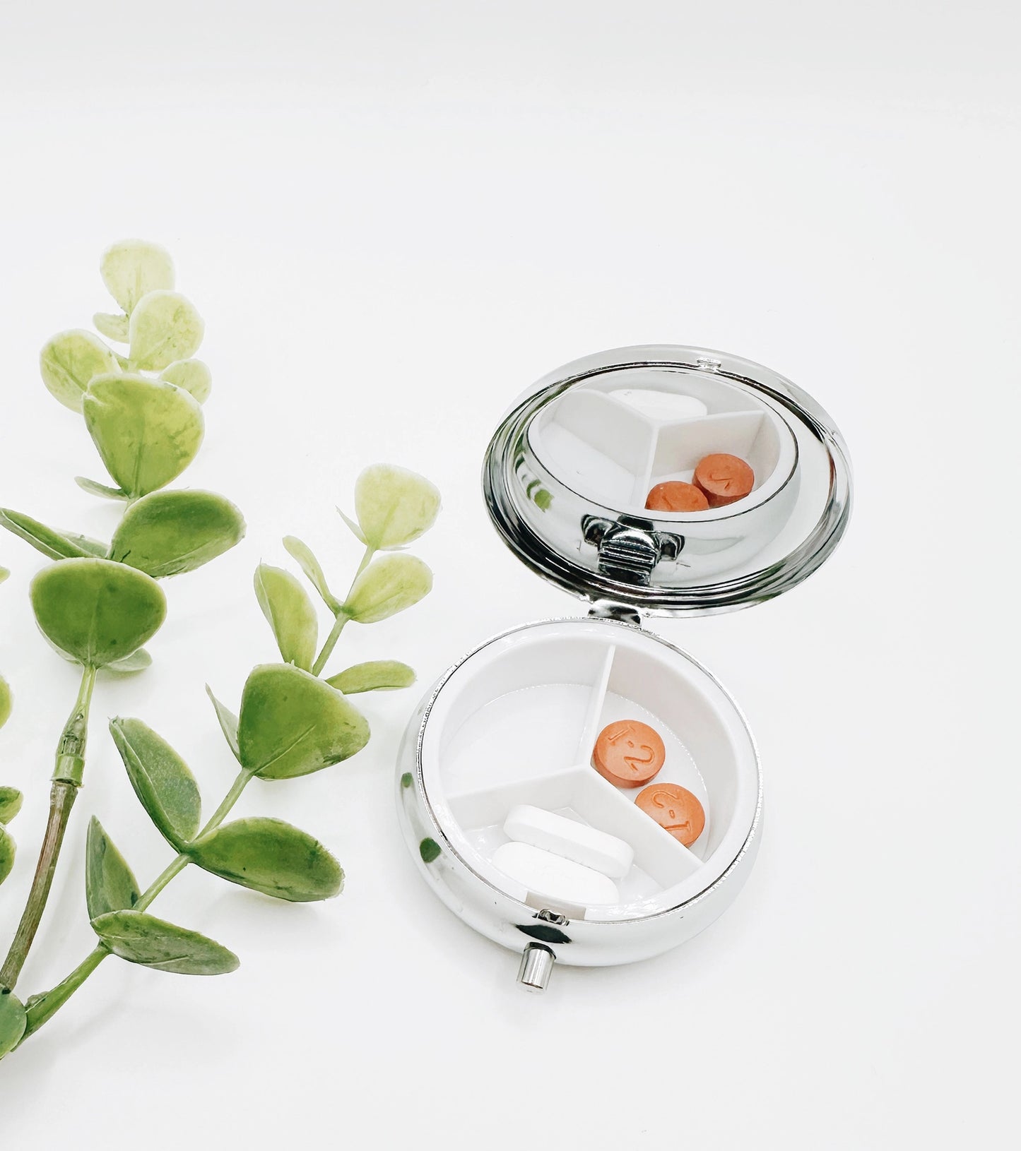 Goose Travel Pill Case