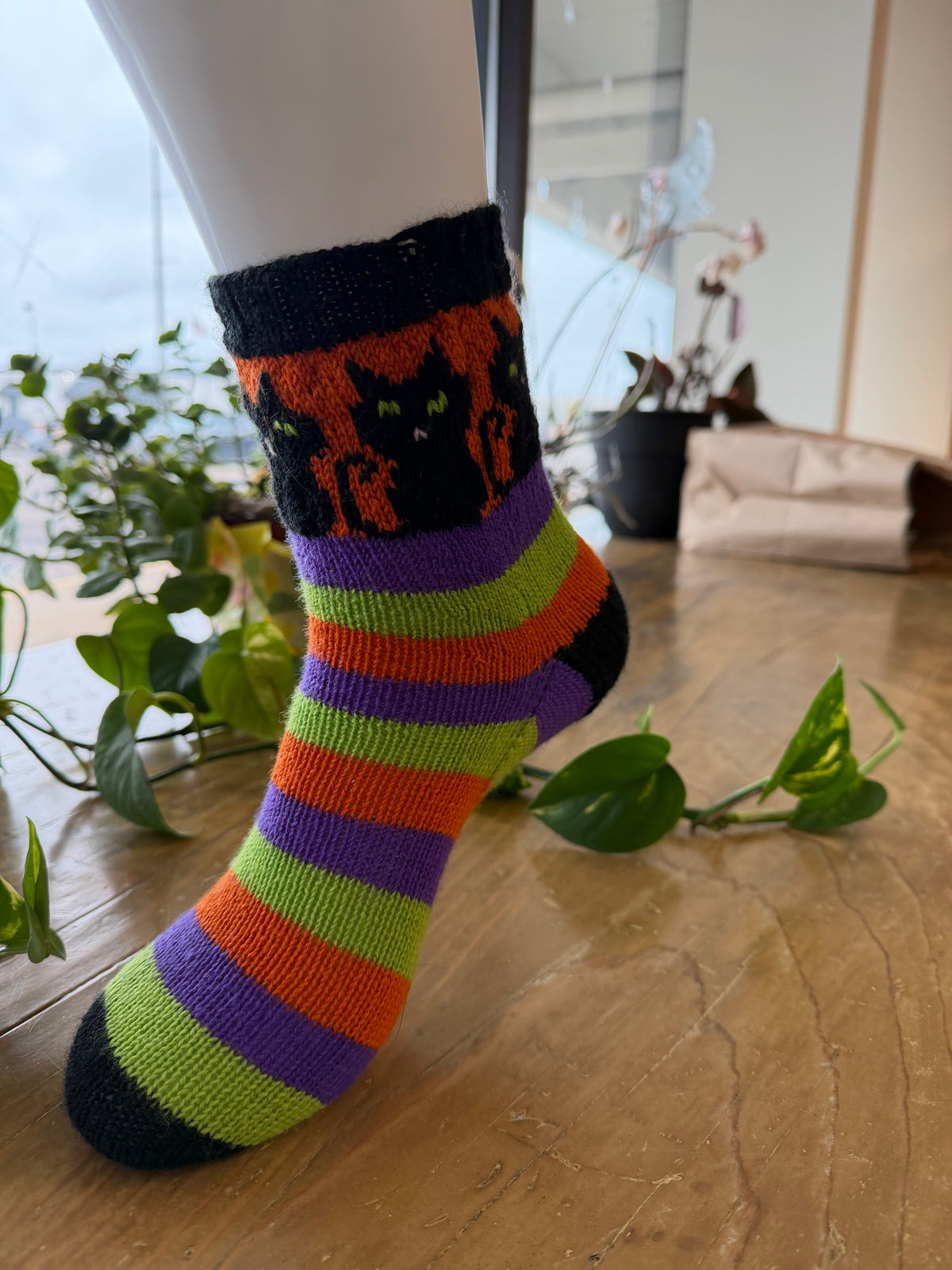 Bewitched Halloween Cat Socks (Knitting) Kit