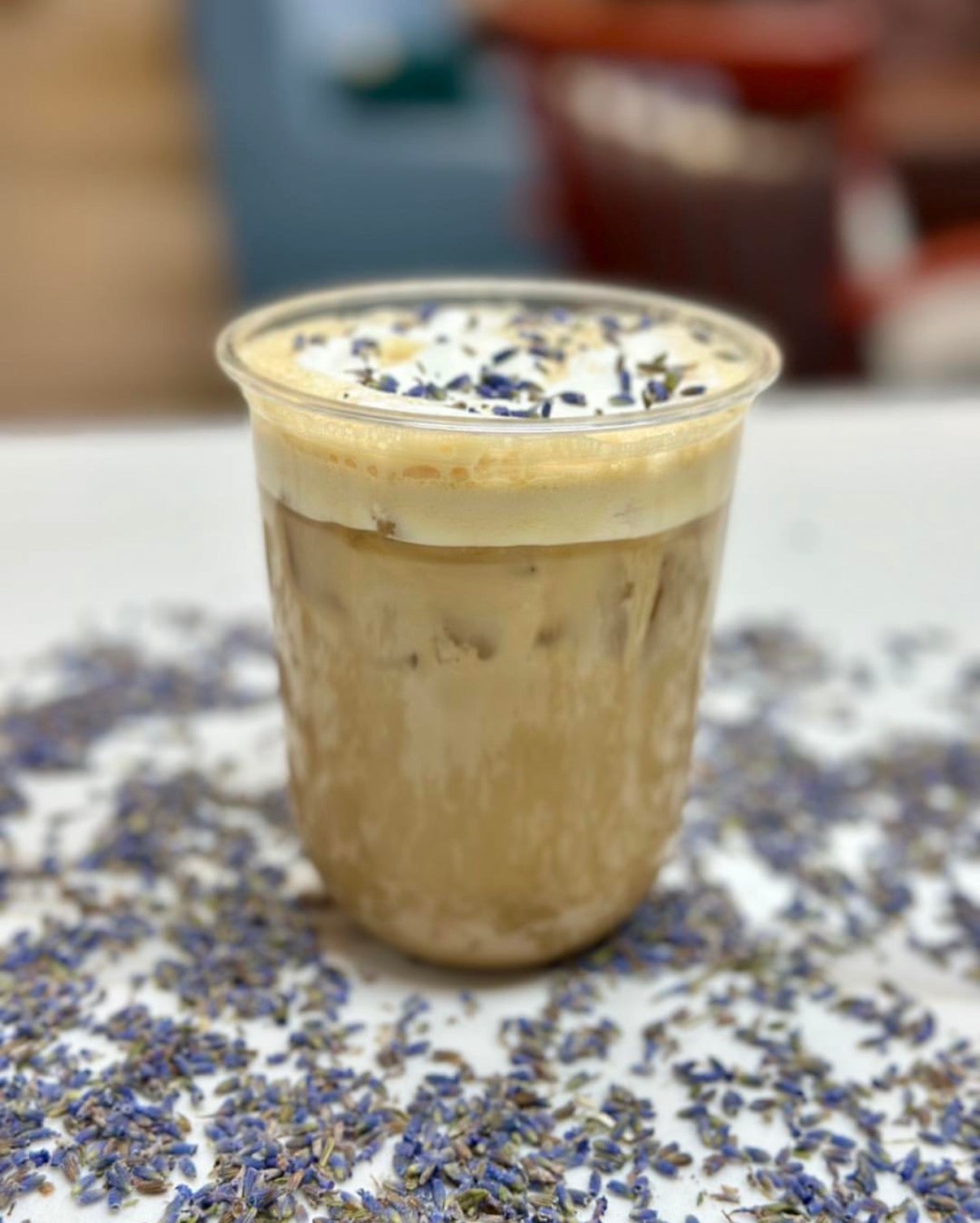 Specialty Cold Brew