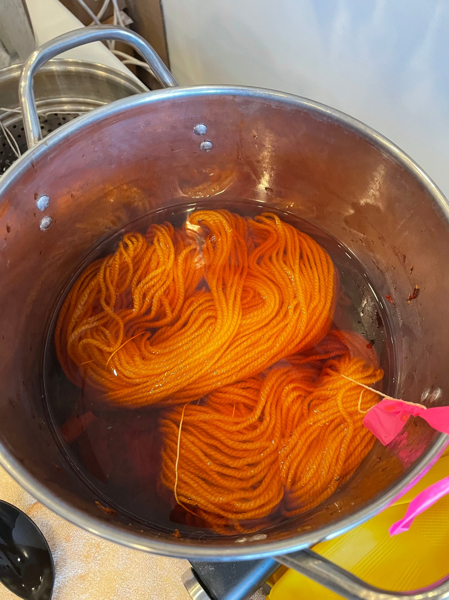 Yarn Dyeing 101: Natural Dye Workshop