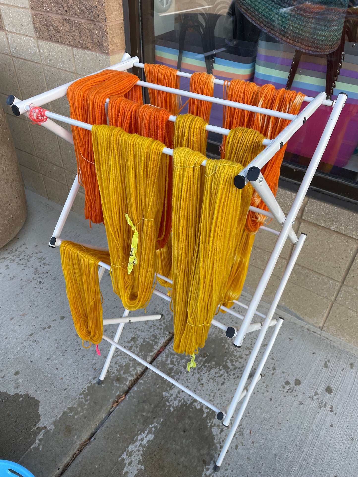Yarn Dyeing 101: Natural Dye Workshop