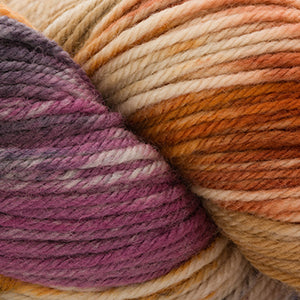 220 Superwash Hand Paints