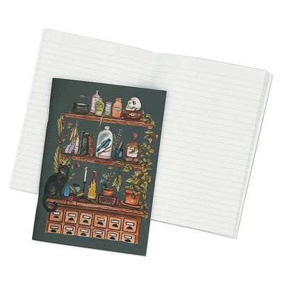 2 Pack Journals