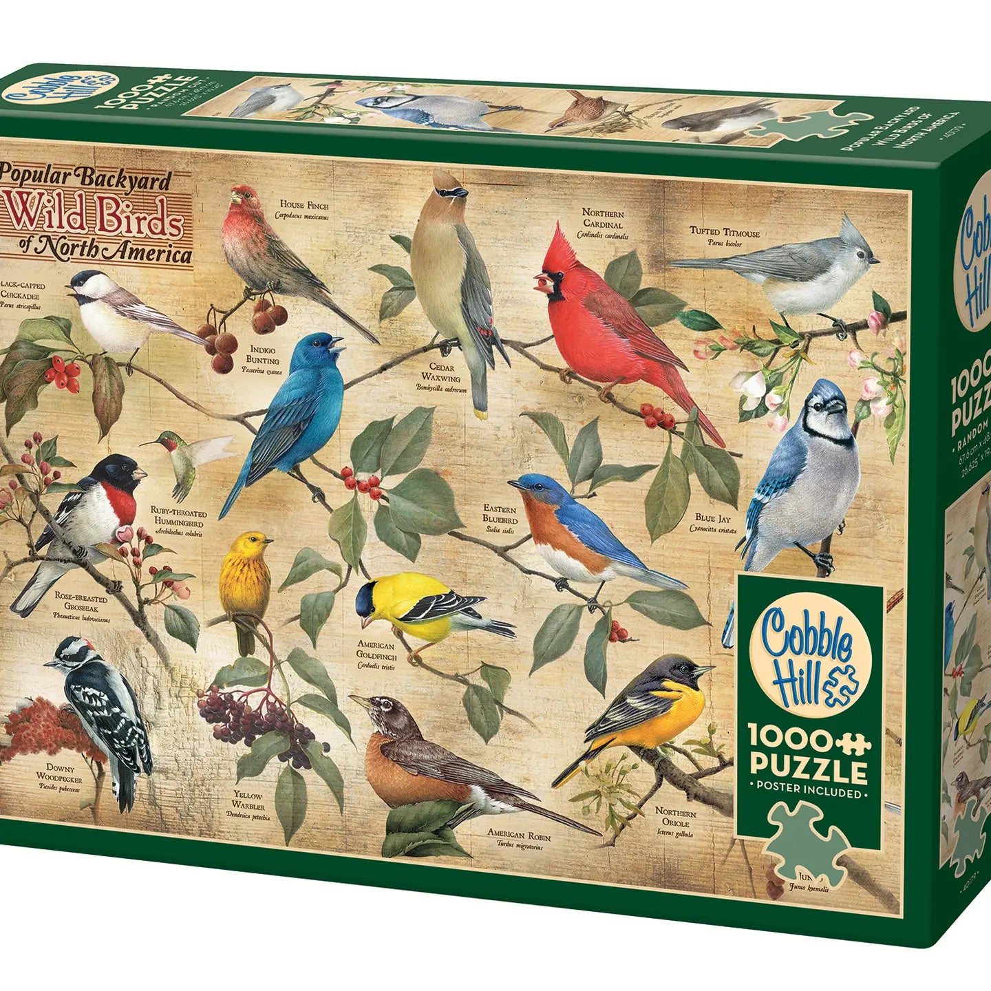 Cobble Hill 1000pc Puzzle