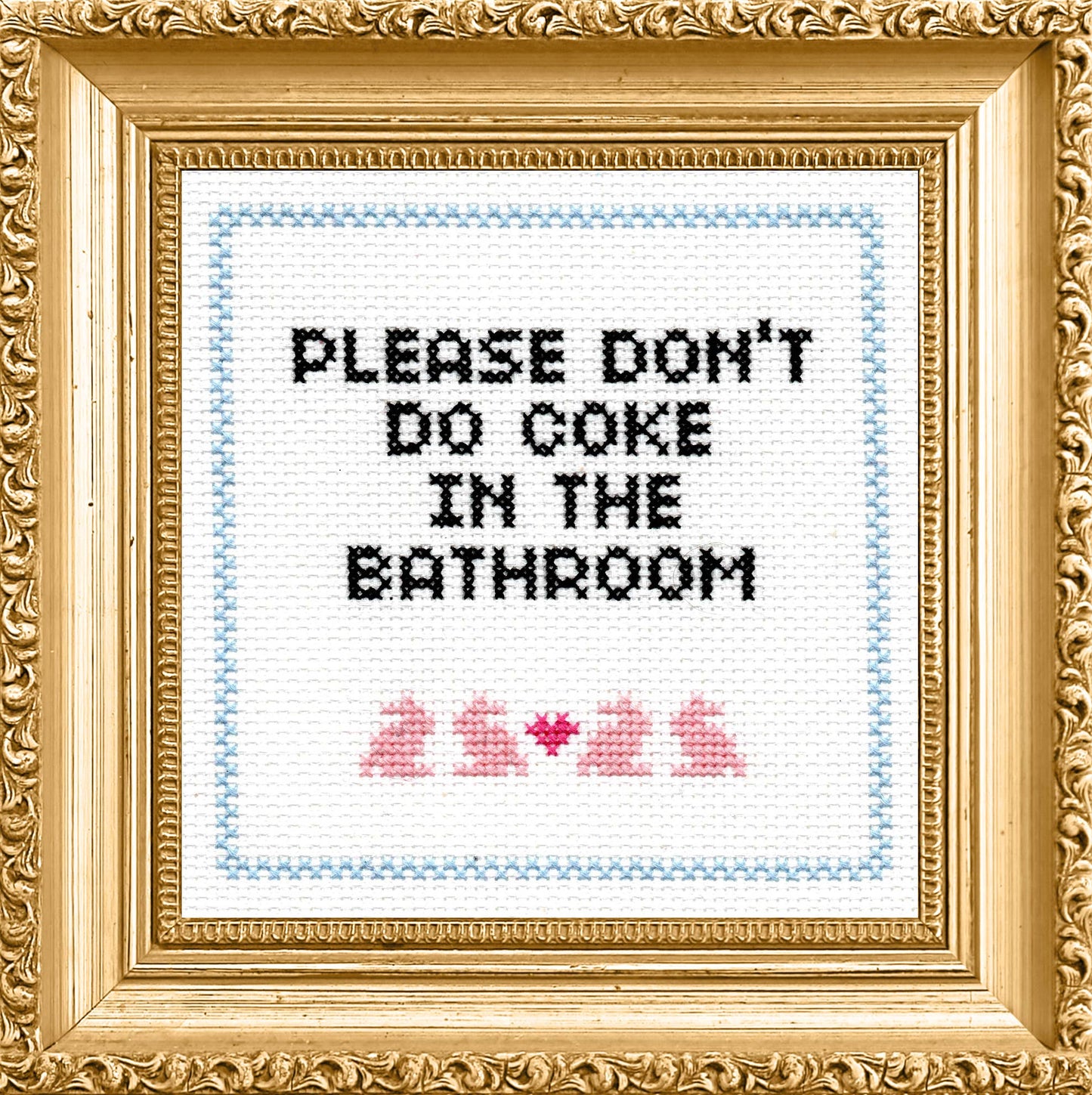 "Please Don't Do Coke In The Bathroom" Deluxe Cross Stitch Kit