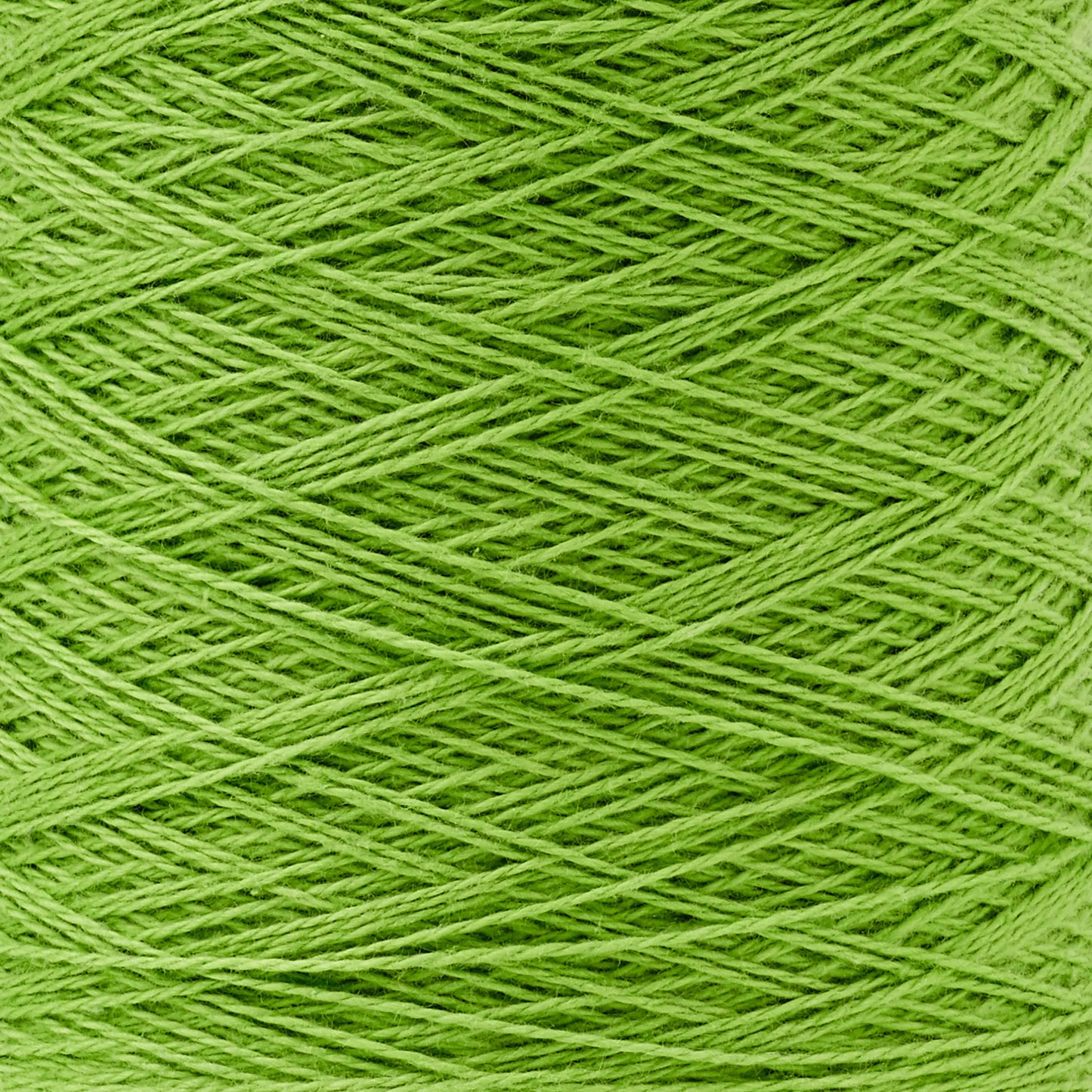 8/2 Beam Organic Cotton Weaving Yarn