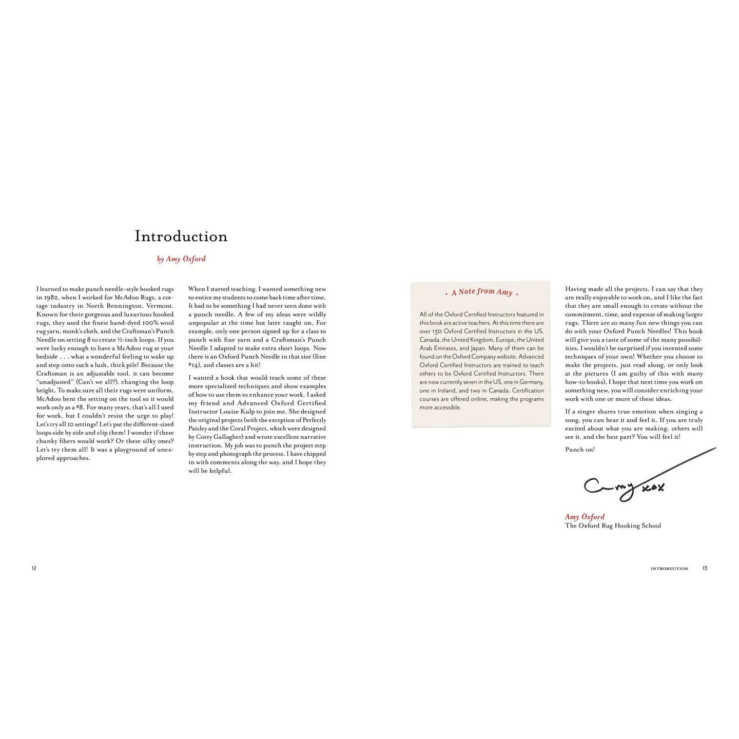 Intermediate & Advanced Punch Needle Rug Hooking