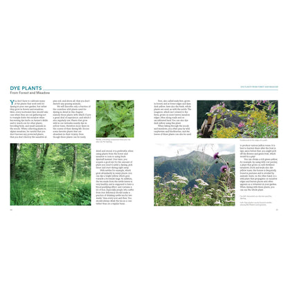 Natural Dyeing with Plants