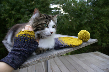 Driftless Mitts (DK) Knitting Kit