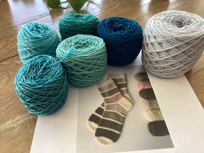Color Palette Socks (Knitting) Kit