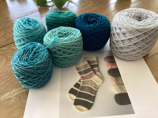 Color Palette Socks Kit (Knitting)
