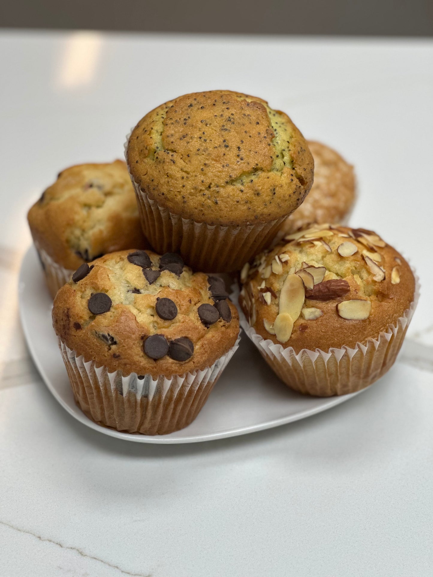 Bakery Tray