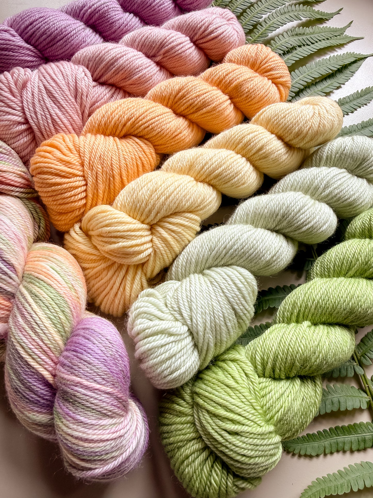 7 Wooly Wonders Contest – Fall 2026