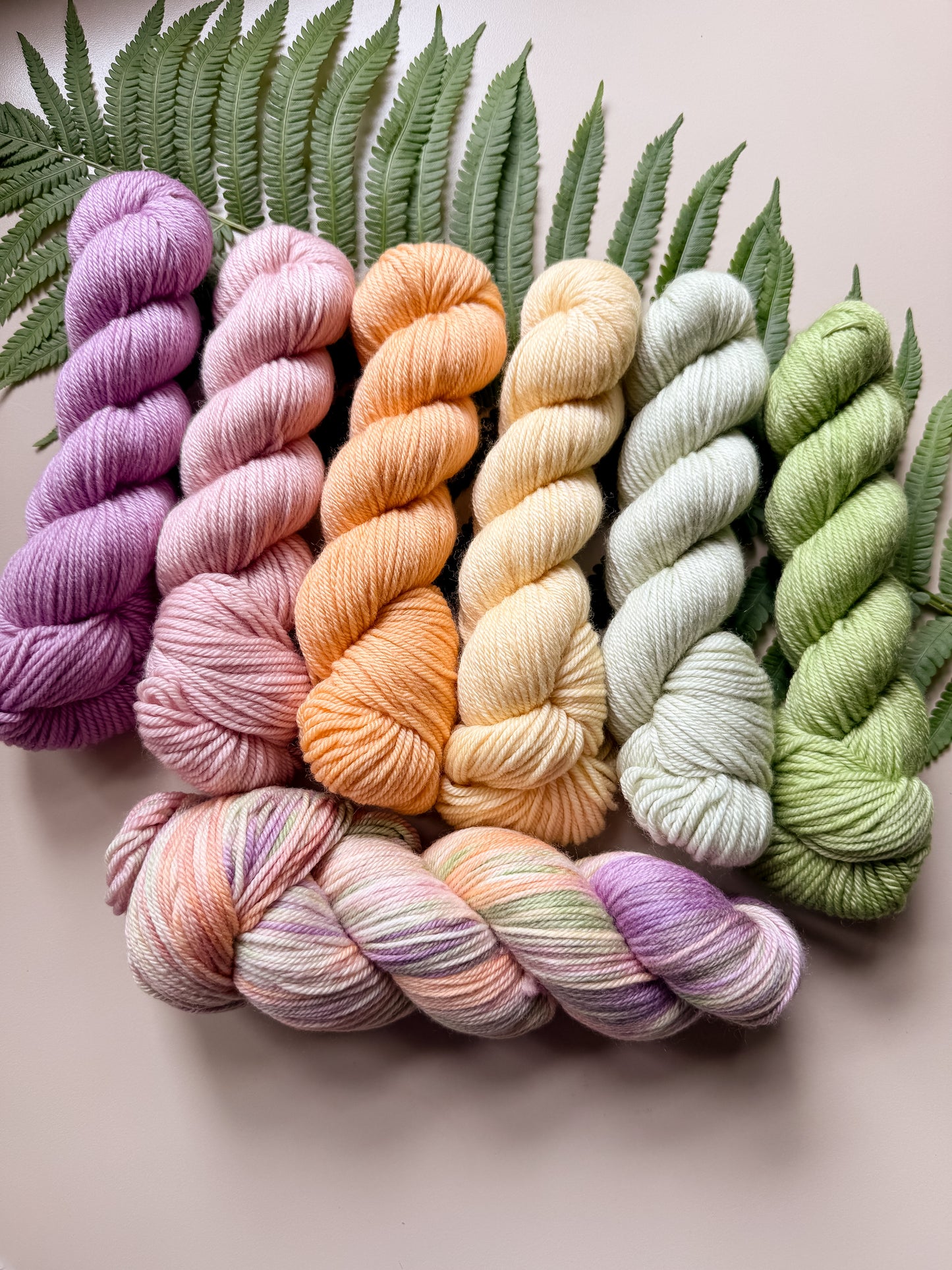 7 Wooly Wonders Contest – Fall 2026