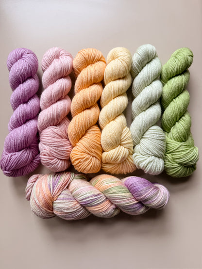7 Wooly Wonders Contest – Fall 2026
