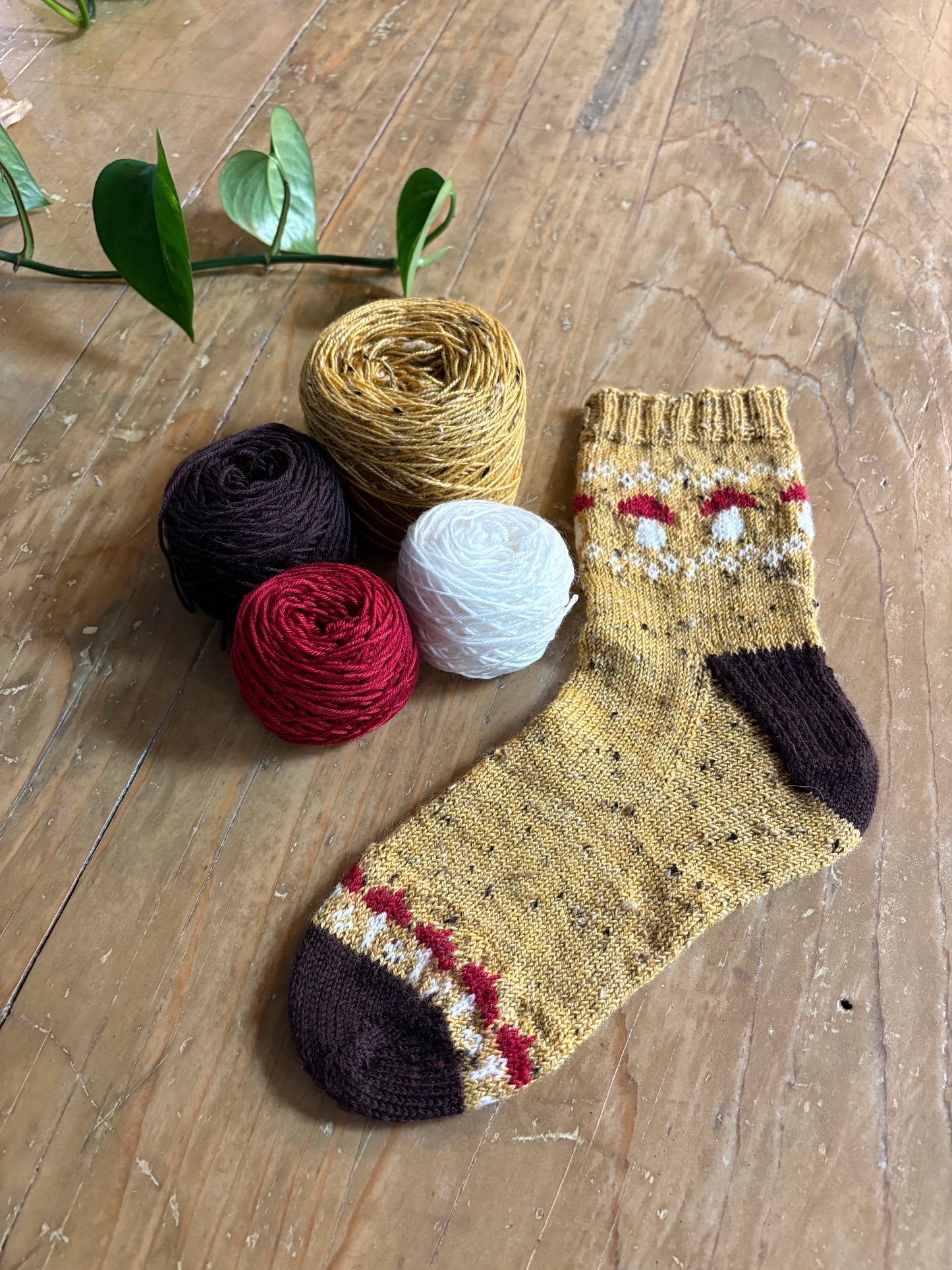Mystical Mushroom Sock Knitting Kit