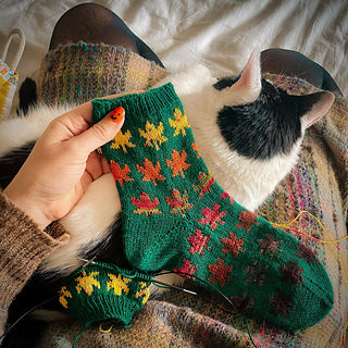 Autumn Leaves Sock (Knitting) Kit